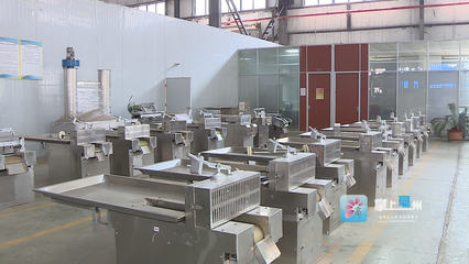 科技賦能，智造未來 機(jī)械設(shè)備領(lǐng)域的“專精特新”企業(yè)崛起之路