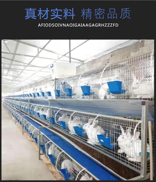 商品兔子籠批發圖片 商品兔子籠批發 臨沂云蒙湖籠具廠